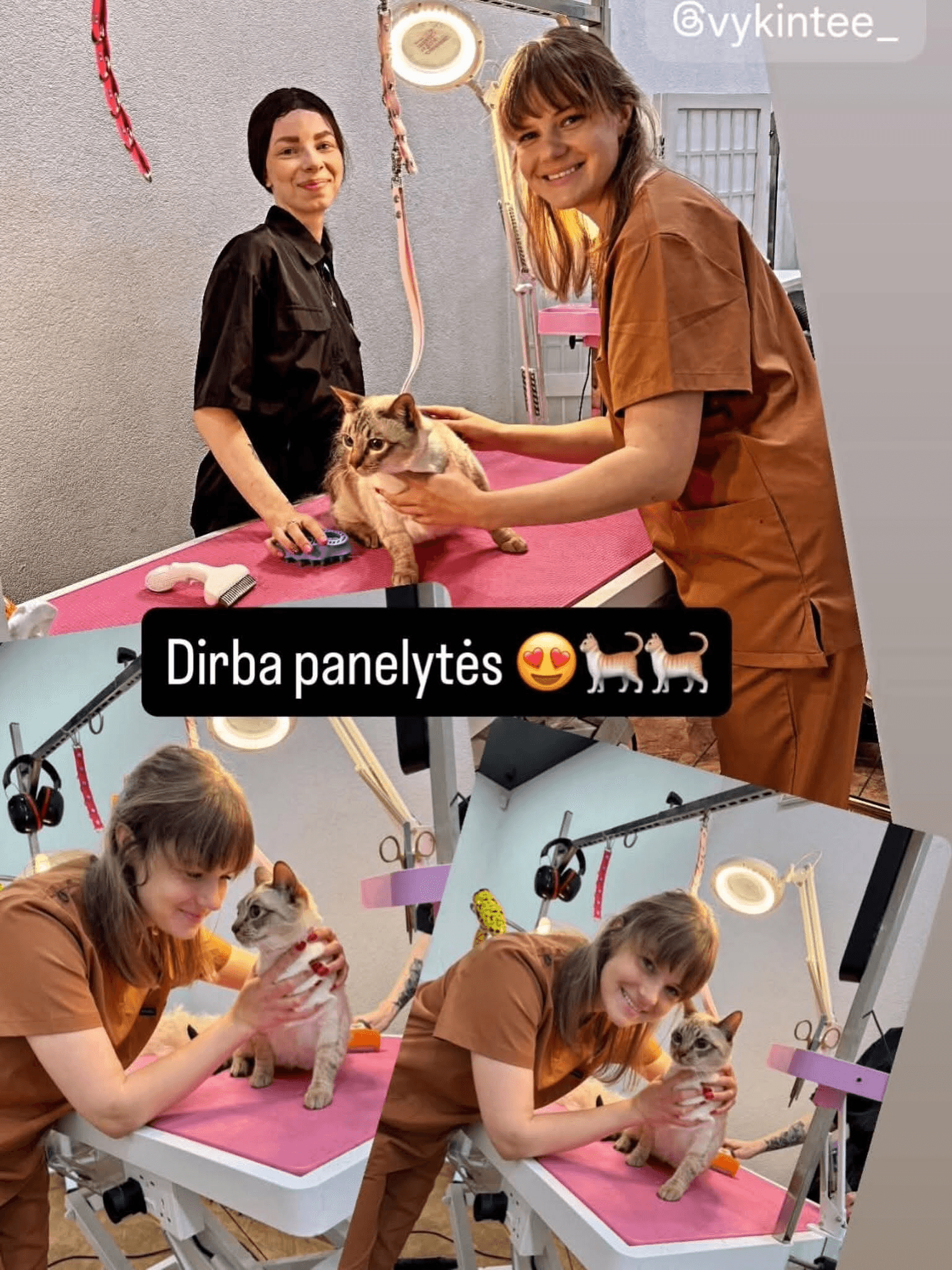 Vakar su kolege Milda tvarkėm kačiukus 💕🐈